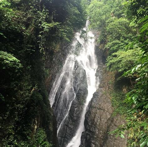 德慶盤龍峽|德慶盤龍峽生態旅遊區旅遊攻略簡介2024